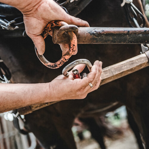 851Hofkramerei18_KarinLohbergerPhotography-2000