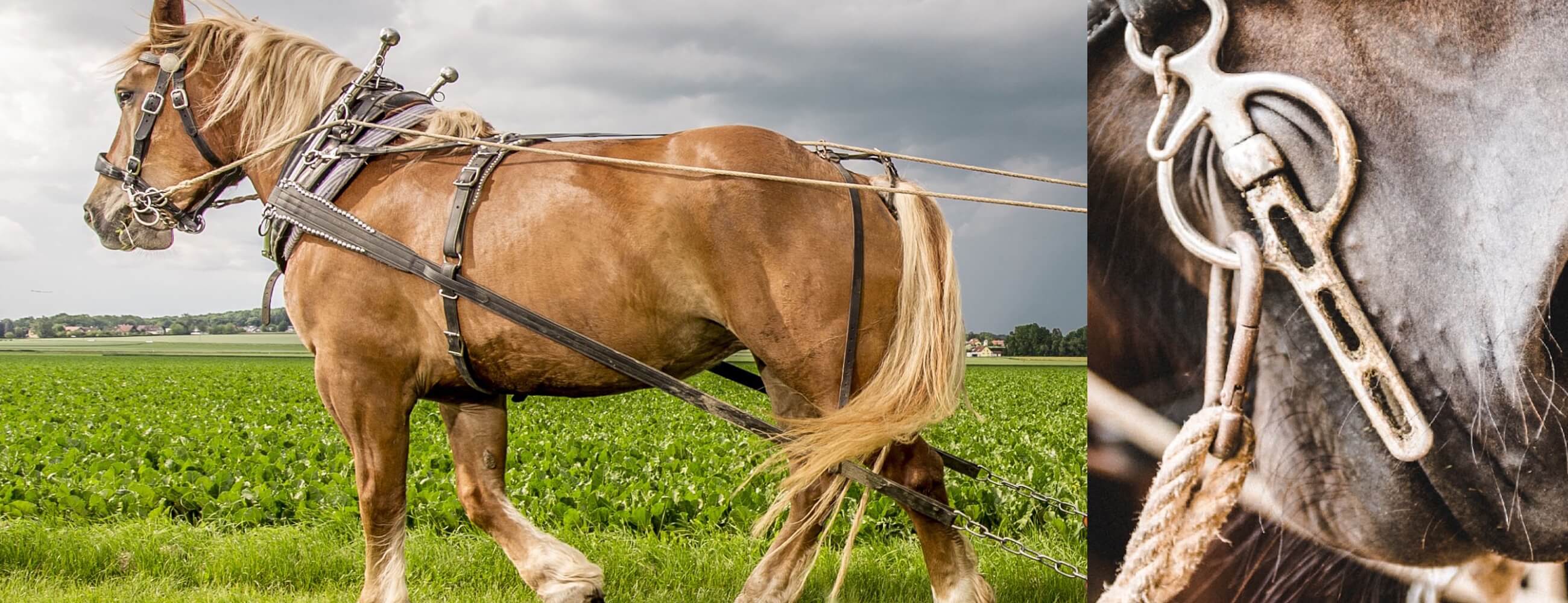 arbeitsgeschirr_header(1)