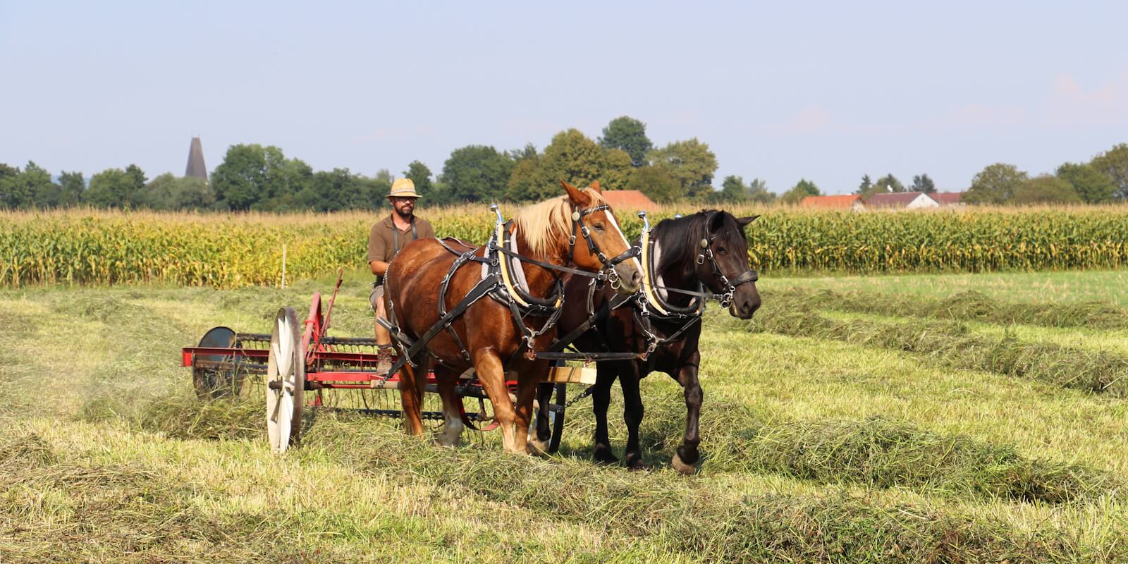 arbeitsgeschirr_zwheader