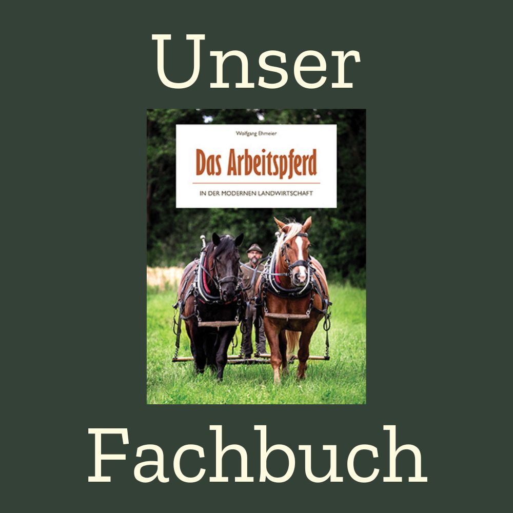 ehmeier - arbeitspferd_green_v3
