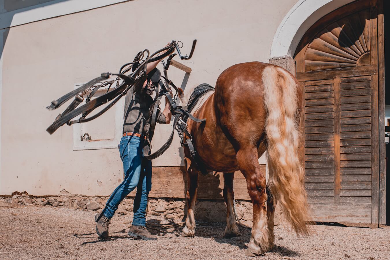 kontakt_pferdearbeit