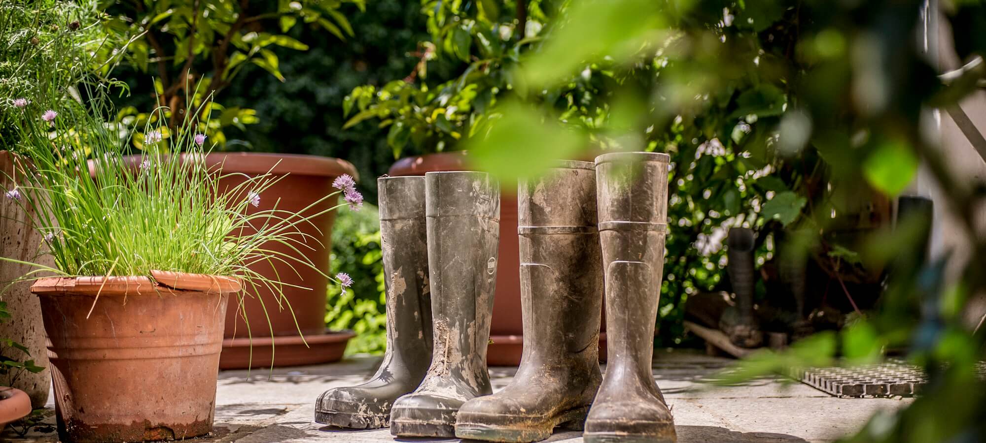 kontakt_zwischenheader_1