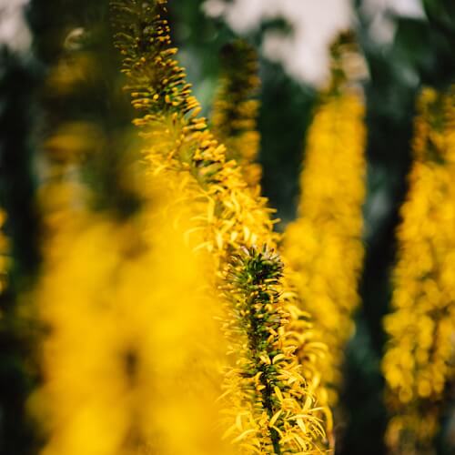 1367Hofkramerei18_KarinLohbergerPhotography-(1)
