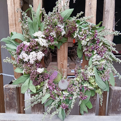 IMG_20250823_191836
