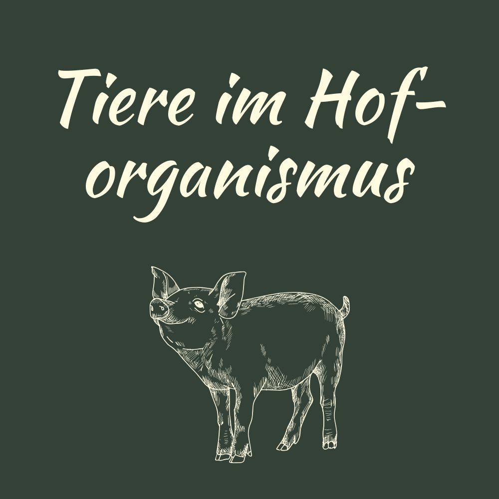 ehmeier tiere(1)