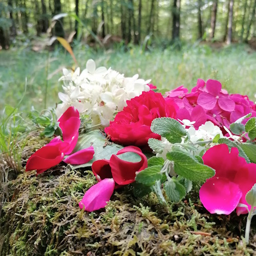hoedlin_blumen